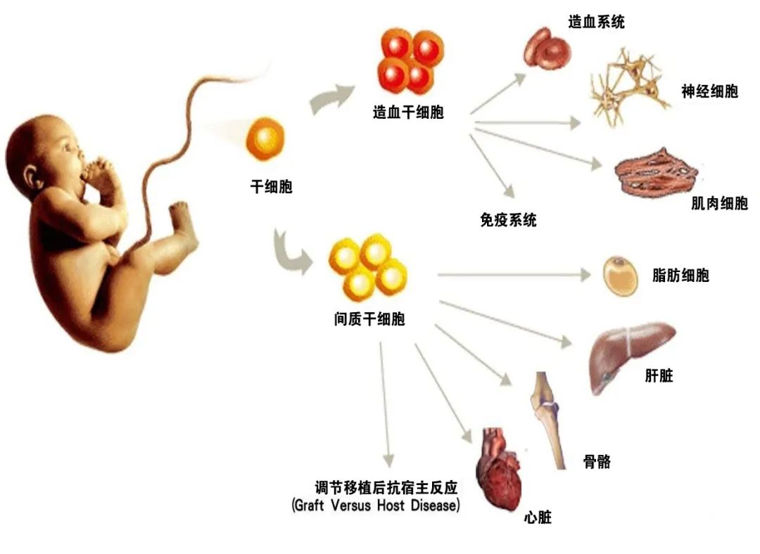 微信图片_20211014160103.jpg