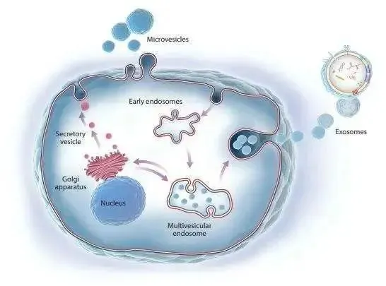 1773389051965205.png 微信图片_2026-03-13_160226_366.png