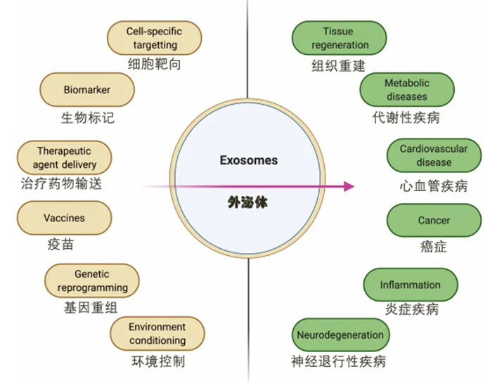 1773389068846300.png 微信图片_2026-03-13_160229_914.png